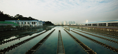 兩會聲音：城市“新洼地”之痛 如何補齊城市地下管網短板？