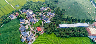 農業農村部等四部門關于推進政策性開發性金融支持農業農村基礎設施建設的通知