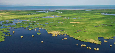 2022年上半年全國生態環境質量持續改善